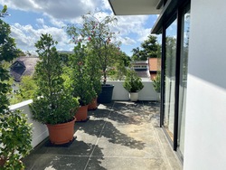 Ming Teck Park (D10), Semi-Detached #315074381
